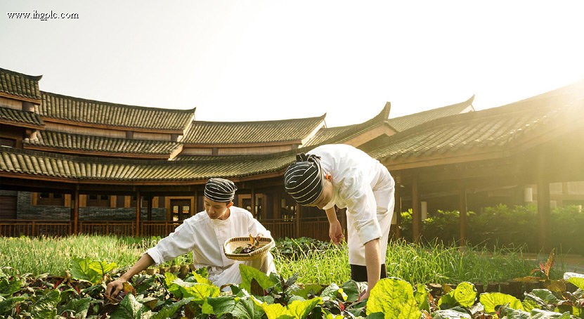 Eliminating food waste